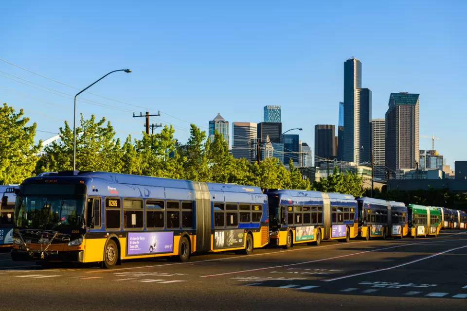 Seattle buses in line at a depot with Seattle skyline in background